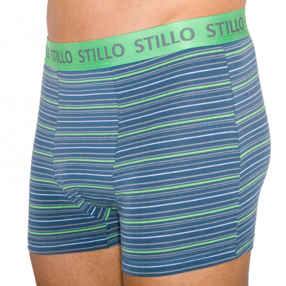 Boxers para hombre Stillo gris con rayas verdes (STP-010)