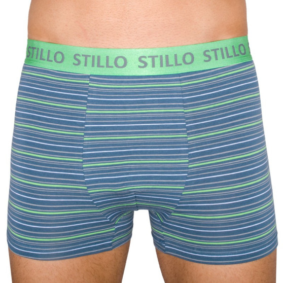 Boxers para hombre Stillo gris con rayas verdes (STP-010)