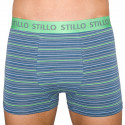 Boxers para hombre Stillo gris con rayas verdes (STP-010)