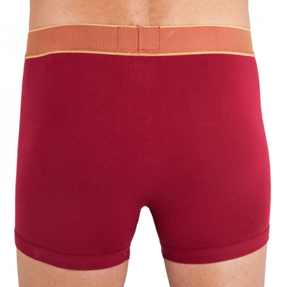 Boxers para hombre Calvin Klein rojo (NB1403A-1DR)