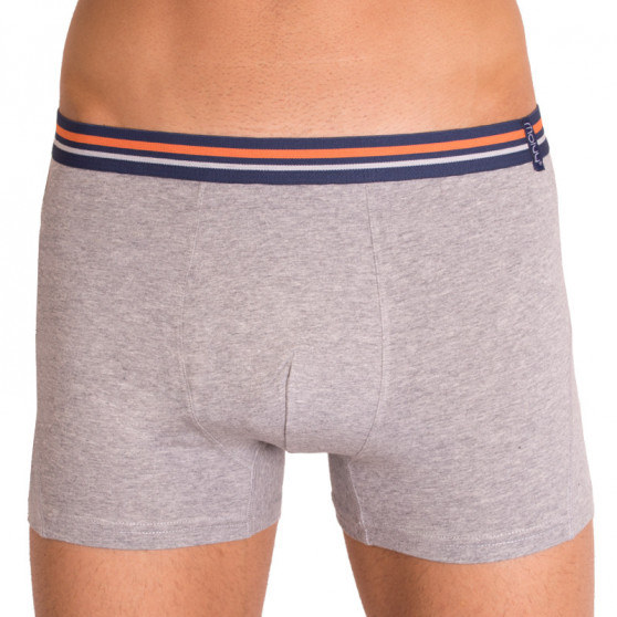 2PACK Boxers para hombre  gris con rayas Molvy