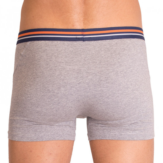 2PACK Boxers para hombre  gris con rayas Molvy