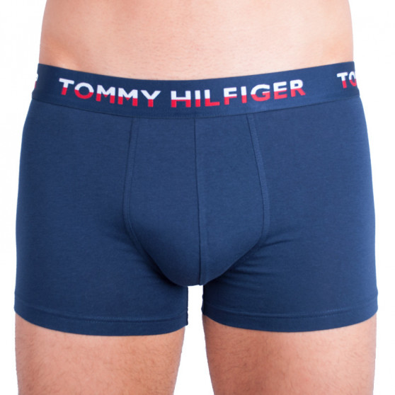 2PACK Boxers para hombre Tommy Hilfiger multicolor (UM0UM00746 222)