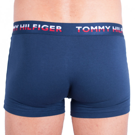 2PACK Boxers para hombre Tommy Hilfiger multicolor (UM0UM00746 222)