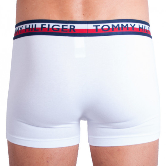 2PACK Boxers para hombre Tommy Hilfiger multicolor (UM0UM00746 222)