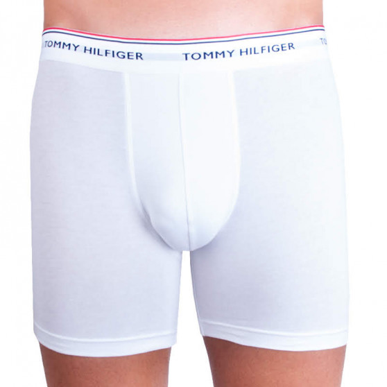 3PACK Boxers para hombre Tommy Hilfiger multicolor (UM0UM00010 004)