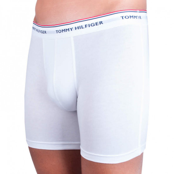 3PACK Boxers para hombre Tommy Hilfiger multicolor (UM0UM00010 004)