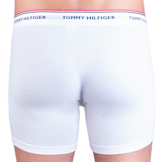 3PACK Boxers para hombre Tommy Hilfiger multicolor (UM0UM00010 004)