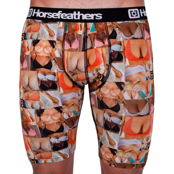 Boxers para hombre Horsefeathers Sidney tetas largas (AA1072M)