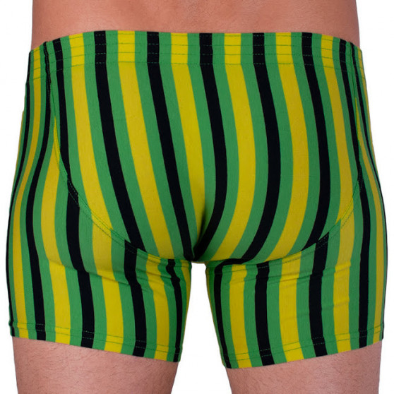 Boxers para hombre Styx largo clásico elástico multicolor (F865)