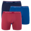 3PACK Boxers para hombre Tommy Hilfiger multicolor (UM0UM00010 071)