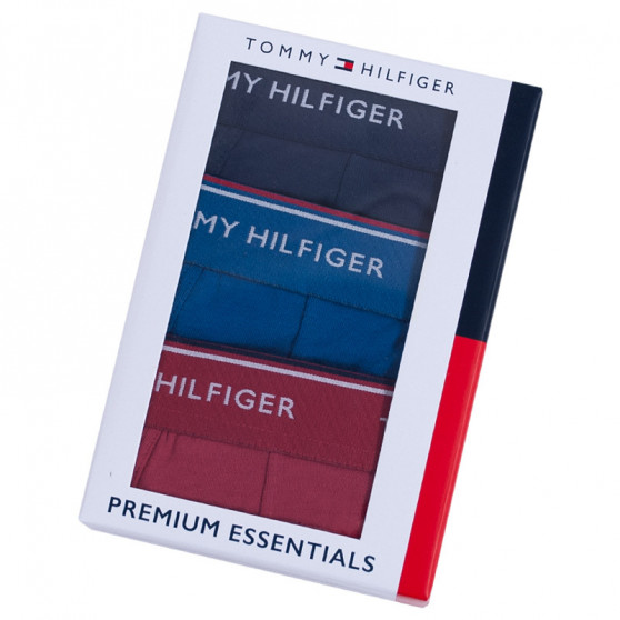 3PACK Boxers para hombre Tommy Hilfiger multicolor (UM0UM00010 071)