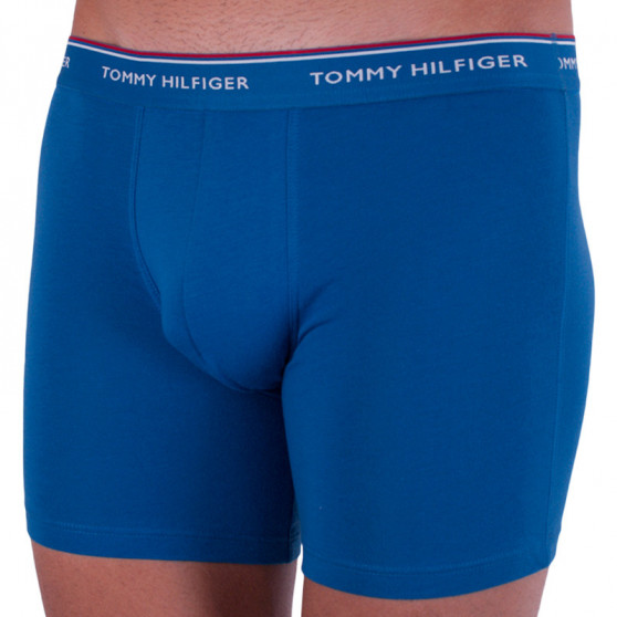 3PACK Boxers para hombre Tommy Hilfiger multicolor (UM0UM00010 071)