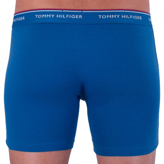 3PACK Boxers para hombre Tommy Hilfiger multicolor (UM0UM00010 071)