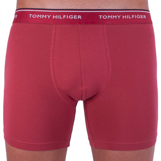 3PACK Boxers para hombre Tommy Hilfiger multicolor (UM0UM00010 071)