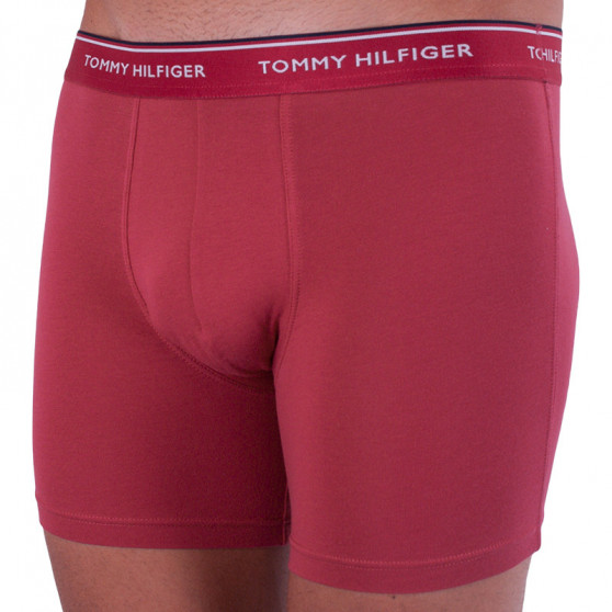 3PACK Boxers para hombre Tommy Hilfiger multicolor (UM0UM00010 071)