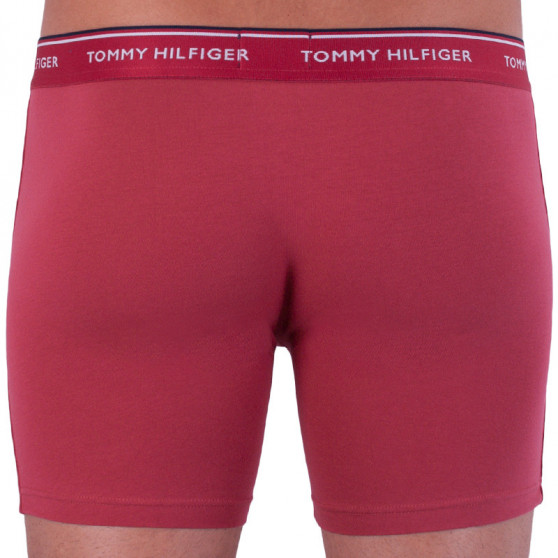 3PACK Boxers para hombre Tommy Hilfiger multicolor (UM0UM00010 071)