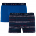 2PACK Boxers para hombre Tommy Hilfiger multicolor (UM0UM00945 047)