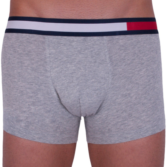 Boxers para hombre Tommy Hilfiger gris (UM0UM01370 004)