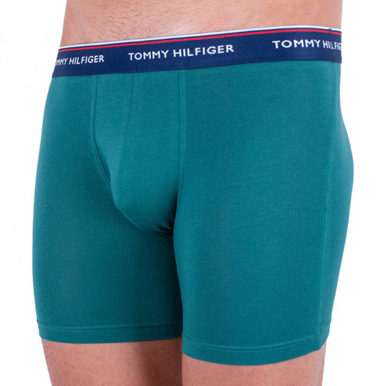 3PACK Boxers para hombre Tommy Hilfiger multicolor (UM0UM00010 052)