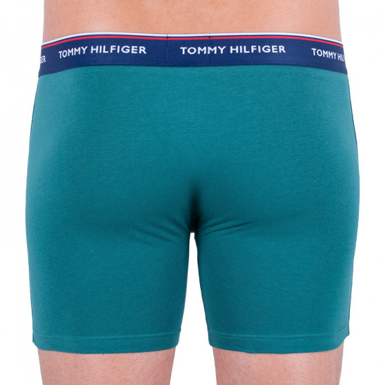 3PACK Boxers para hombre Tommy Hilfiger multicolor (UM0UM00010 052)