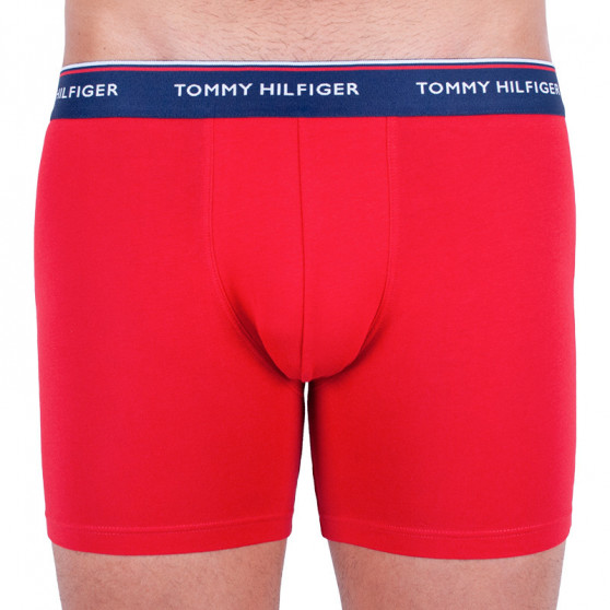 3PACK Boxers para hombre Tommy Hilfiger multicolor (UM0UM00010 052)