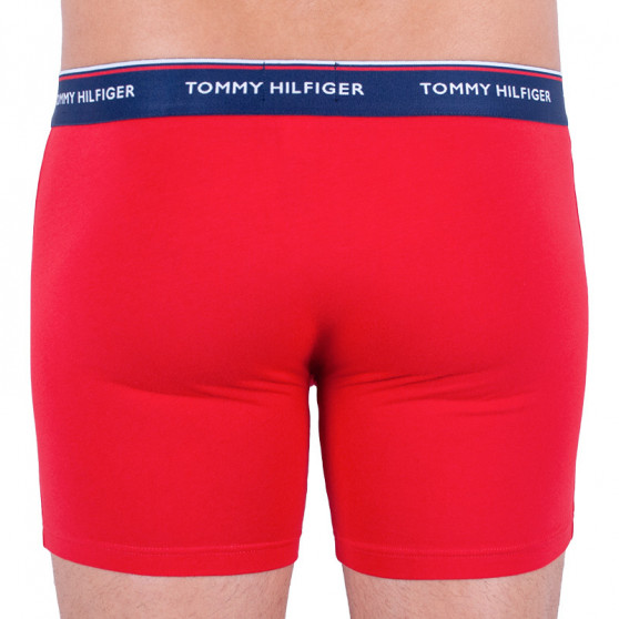 3PACK Boxers para hombre Tommy Hilfiger multicolor (UM0UM00010 052)