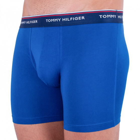 3PACK Boxers para hombre Tommy Hilfiger multicolor (UM0UM00010 052)