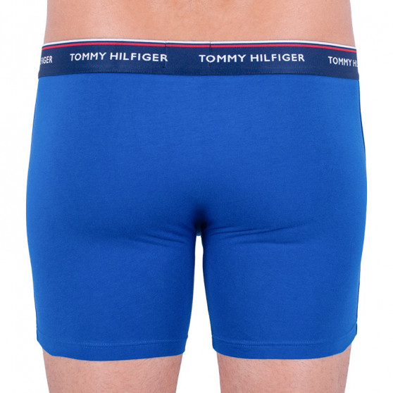 3PACK Boxers para hombre Tommy Hilfiger multicolor (UM0UM00010 052)