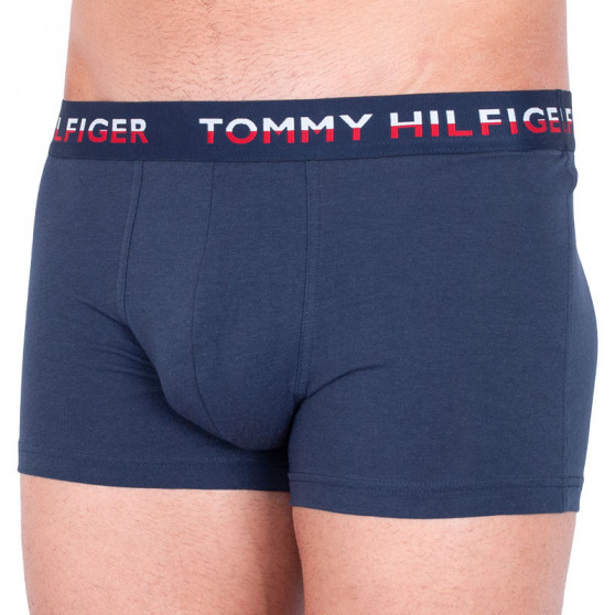 2PACK Boxers para hombre Tommy Hilfiger multicolor (UM0UM00746 006)