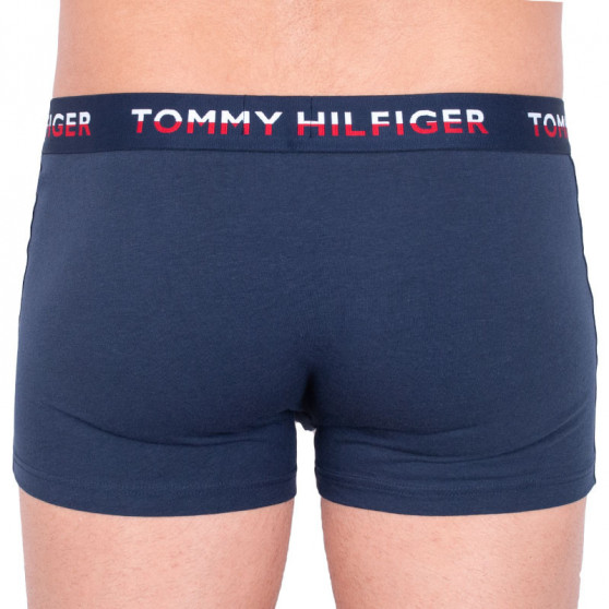 2PACK Boxers para hombre Tommy Hilfiger multicolor (UM0UM00746 006)