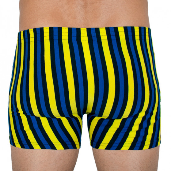 Boxers para hombre Styx largo clásico elástico multicolor (F860)