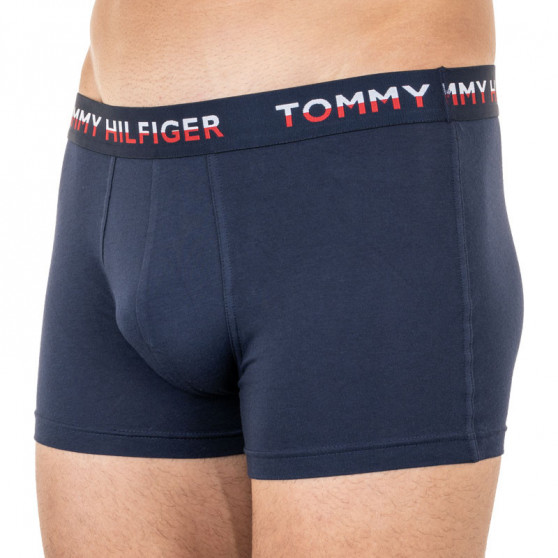 2PACK Boxers para hombre Tommy Hilfiger multicolor (UM0UM01233 088)