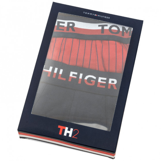 2PACK Boxers para hombre Tommy Hilfiger multicolor (UM0UM01233 088)