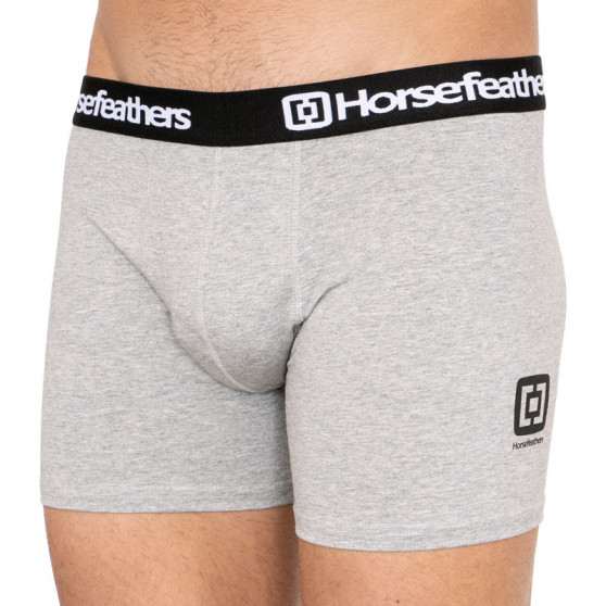 3PACK Boxers para hombre Horsefeathers multicolor (AM067D)