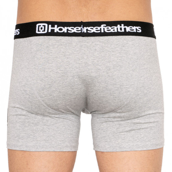 3PACK Boxers para hombre Horsefeathers multicolor (AM067D)