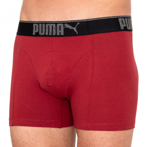 3PACK Boxers para hombre Puma multicolor (681030001 899)