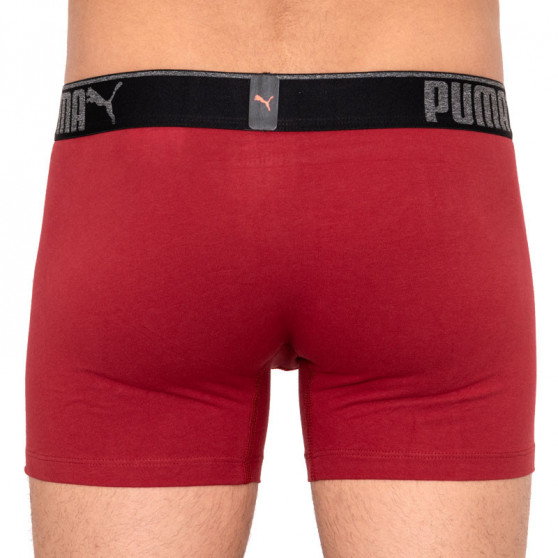 3PACK Boxers para hombre Puma multicolor (681030001 899)