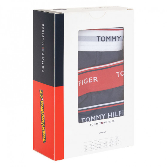 3PACK calzoncillos para hombre Tommy Hilfiger azul oscuro (1U87903766 904)