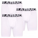 3PACK Boxers para hombre Under Armour blanco (1327426 100)