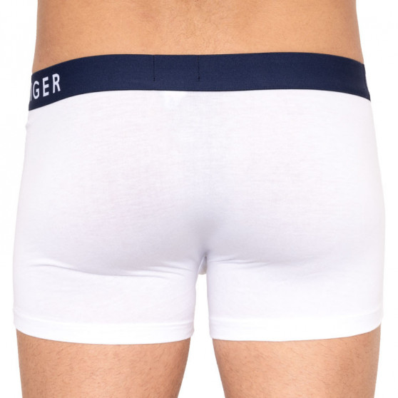 3PACK Boxers para hombre Tommy Hilfiger multicolor (UM0UM01234 599)