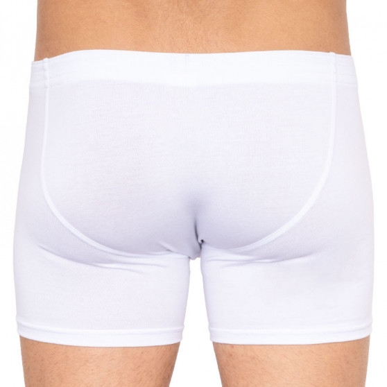 Boxers para hombre Styx largo clásico elástico blanco (F1061)