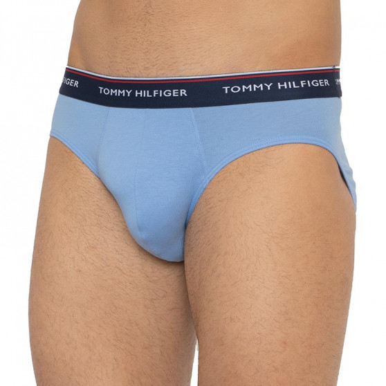 3PACK calzoncillos para hombre Tommy Hilfiger multicolor (1U87903766 0RV)