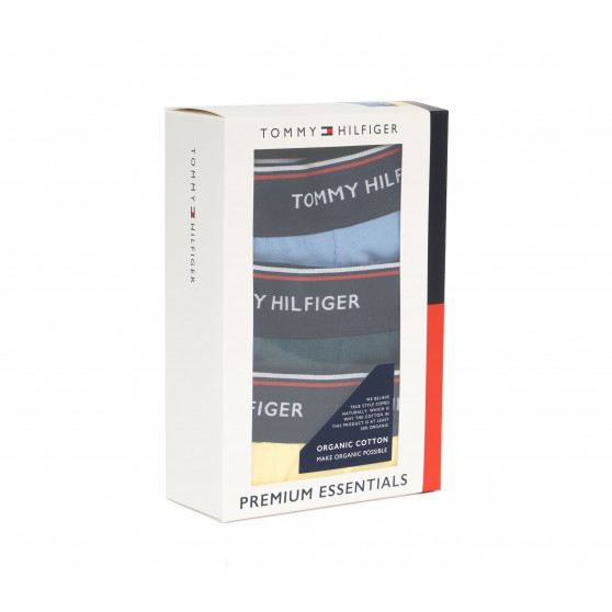 3PACK calzoncillos para hombre Tommy Hilfiger multicolor (1U87903766 0RV)