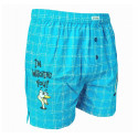 Calzones de hombre Andrie turquoise (PS 5465 B)