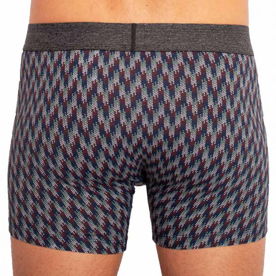 2PACK Boxers para hombre Levis multicolor (100000514 001)