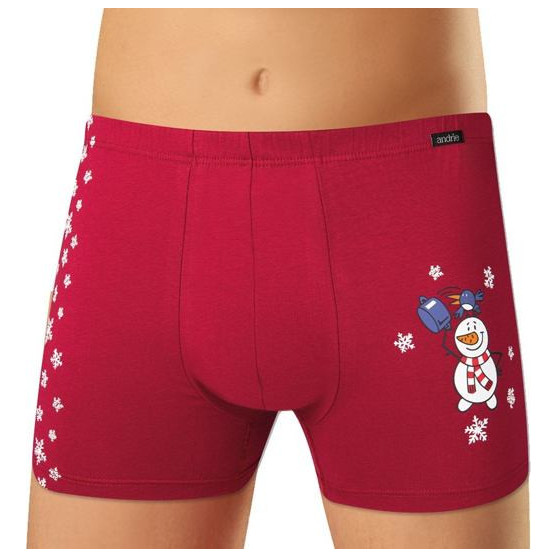 Boxers para hombre Andrie burdeos (PS 5524 C)