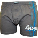 Boxers para hombre Andrie marrón claro (PS 5048 A)