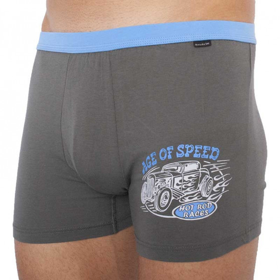 Boxers para hombre Andrie gris-verde (PS 5336 A)