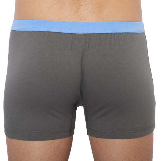 Boxers para hombre Andrie gris-verde (PS 5336 A)